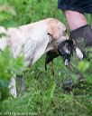 20140713-shw-0626