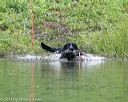 20140713-shw-0654