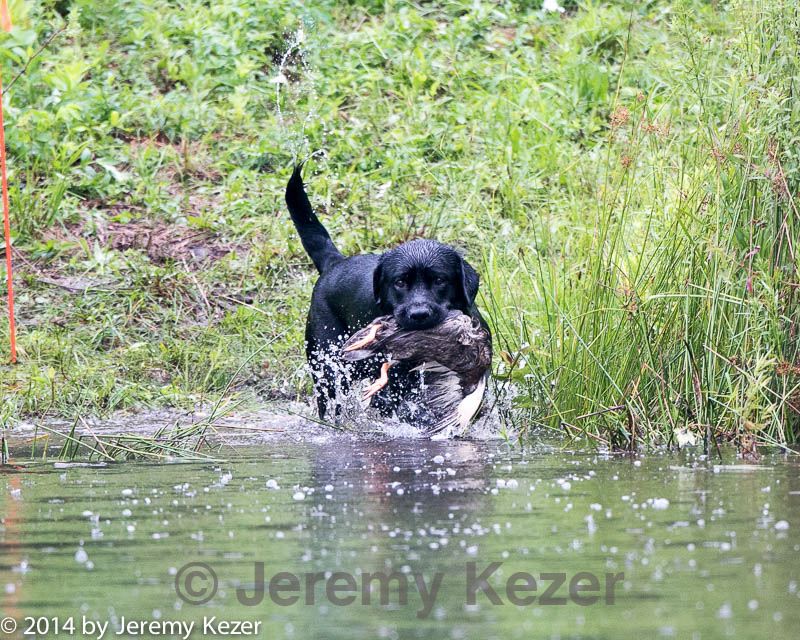 20140713-shw-0492.jpg