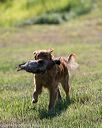 20140809-jhl-0057