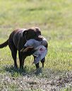 20140809-jhl-0066