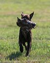 20140809-jhl-0097