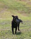 20140809-jhl-0098