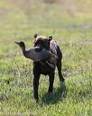 20140809-jhl-0101