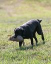 20140809-jhl-0110