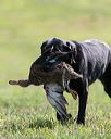 20140809-jhl-0125