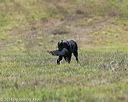 20140809-jhl-0134