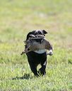 20140809-jhl-0157