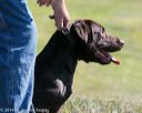 20140809-jhl-0209