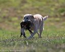 20140809-jhl-0290