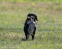20140809-jhl-0354