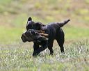 20140809-jhl-0423