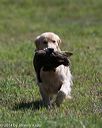 20140809-jhl-0435