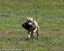 20140809-jhl-0495