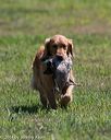 20140809-jhl-0510