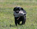 20140809-jhl-0523