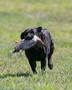 20140809-jhl-0554