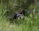 20140809-jhw-0033