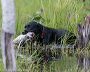 20140809-jhw-0250