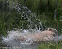 20140809-jhw-0382