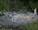 20140809-jhw-0385