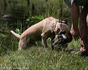 20140809-jhw-0405