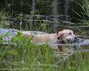 20140809-jhw-0686