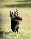 20140810-shl-0004