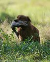 20140810-shl-0015