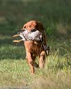 20140810-shl-0023