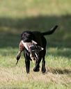 20140810-shl-0042