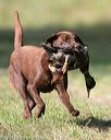 20140810-shl-0109