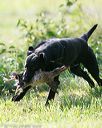 20140810-shl-0121