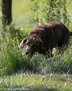 20140810-shl-0145