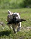 20140810-shl-0163