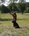 20140810-shl-0192