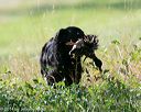 20140810-shl-0196