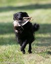 20140810-shl-0204