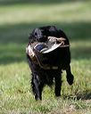 20140810-shl-0208