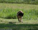 20140810-shl-0215