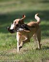 20140810-shl-0232