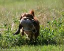 20140810-shl-0264