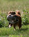 20140810-shl-0266