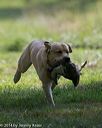20140810-shl-0289