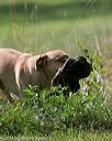 20140810-shl-0292