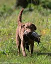 20140810-shl-0318
