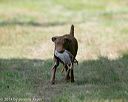 20140810-shl-0324