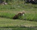 20140810-shl-0356