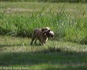 20140810-shl-0358