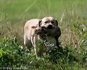 20140810-shl-0371